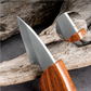 Naturlig skönhet i trä: Delfinformad kniv för ergonomiskt grepp