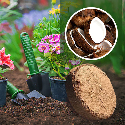 🌱 Organisk kokosnöt för växter