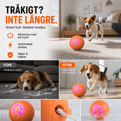 🐾 SMART HUSDJURSBOLL MED AUTOMATISK STUDS OCH FJÄRRKONTROLL — 3 interaktiva lägen | Tuggbeständigt E-TPU | Laddbar via USB-C 🎾