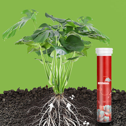 🌿 KÖP 2 FÅ 3! ✨ Allsidig Gödselmedel i Tablettform med Långsam Frisättning - Näringsrik Formel för Blommor, Grönsaker och Kruksväxter 🌱🌸