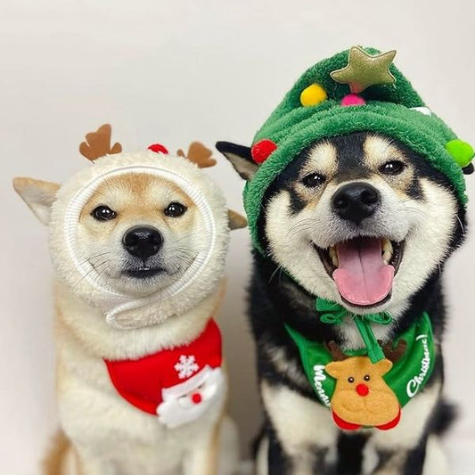 🎅En present till din håriga vän🎁Underbar julgran Pom-Pom hatt