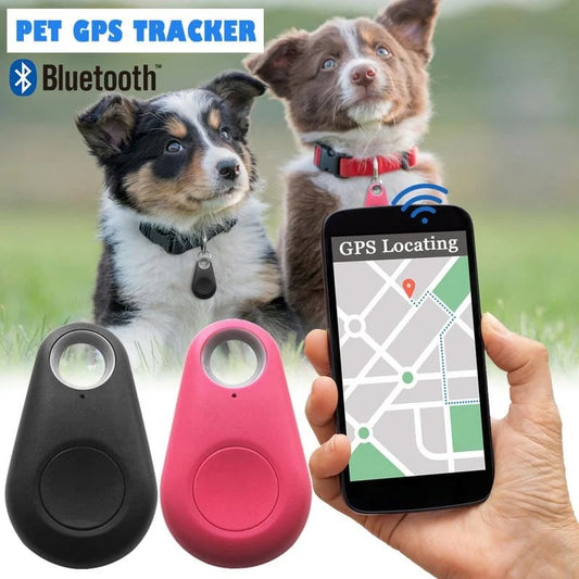 🐾 Bluetooth GPS Husdjursspårare | Ingen Månadsavgift 📍