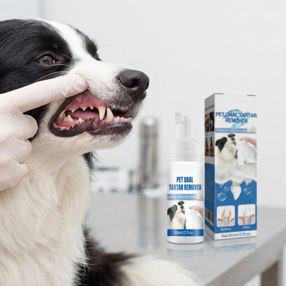 🐾 KÖP 2 FÅ 1 GRATIS! ✨ Skummande tandstensborttagare för husdjur