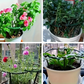 Sammankopplingsbara växtstöd – modulära ringar för hängande blommor & slokande stjälkar 🌱🔄