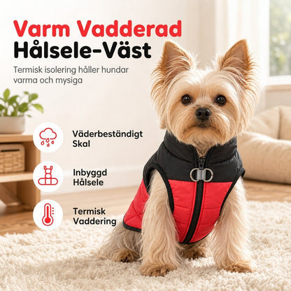 📢📢50 % RABATT JUST NU⏰Varmt hundtäcke för höst och vinter, förtjockad petrock vindbeständig väst för små medelstora och stora hundar🐾